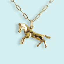 Load image into Gallery viewer, Wild Horses Necklace