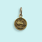 Gold Zodiac Charm
