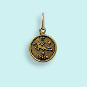 Gold Zodiac Charm - Ornamental Things