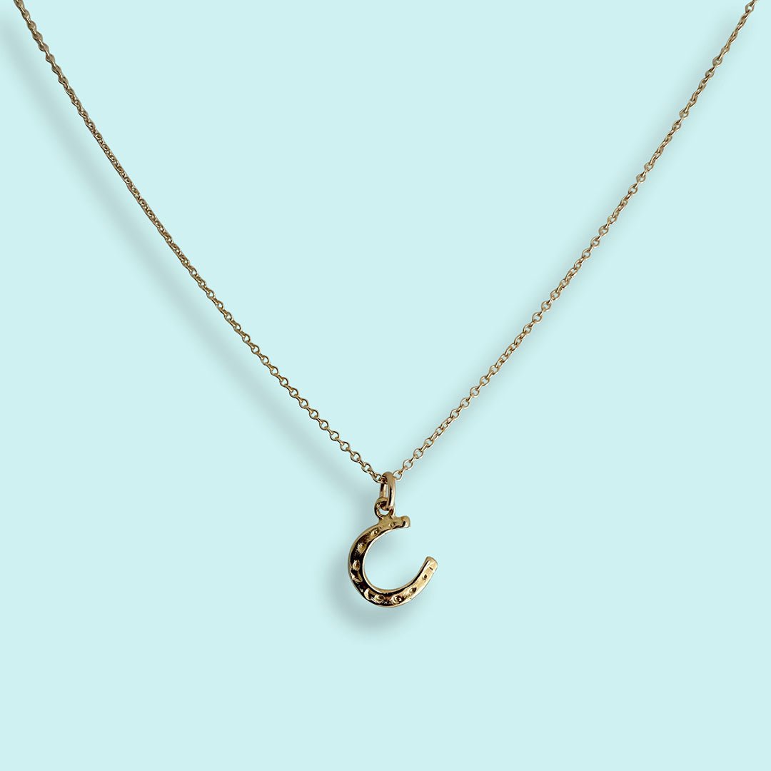 Tiny Gold Horseshoe Necklace - Ornamental Things