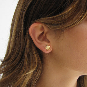 Star Facets Stud Earrings