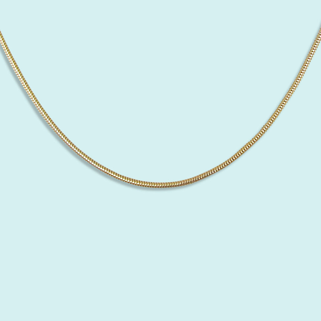 Gold Snake Chain Necklace