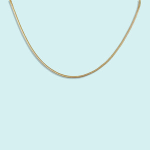 Gold Snake Chain Necklace